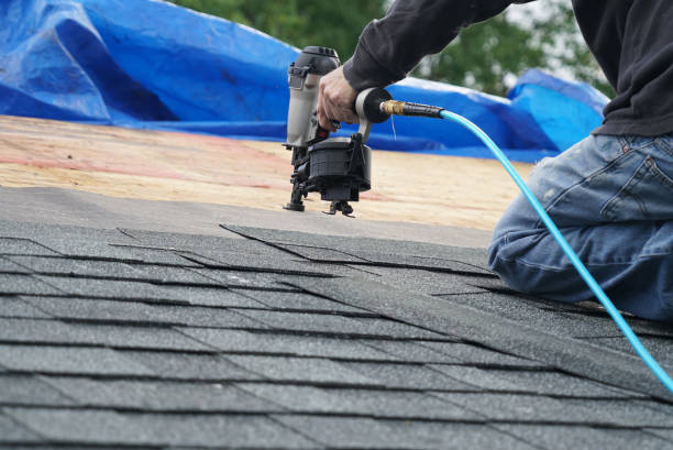 Best Asphalt Shingle Roofing  in Lakeland, GA