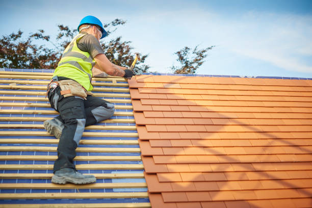 Best Roof Ventilation Installation  in Lakeland, GA